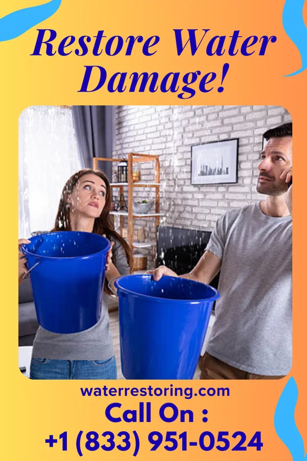 water restoration Citywide Flood Recovery Solutions Hyde